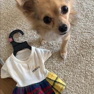 Tiny Dog Dress